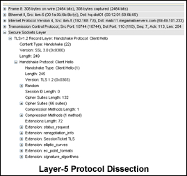 Network Protocol Dissection